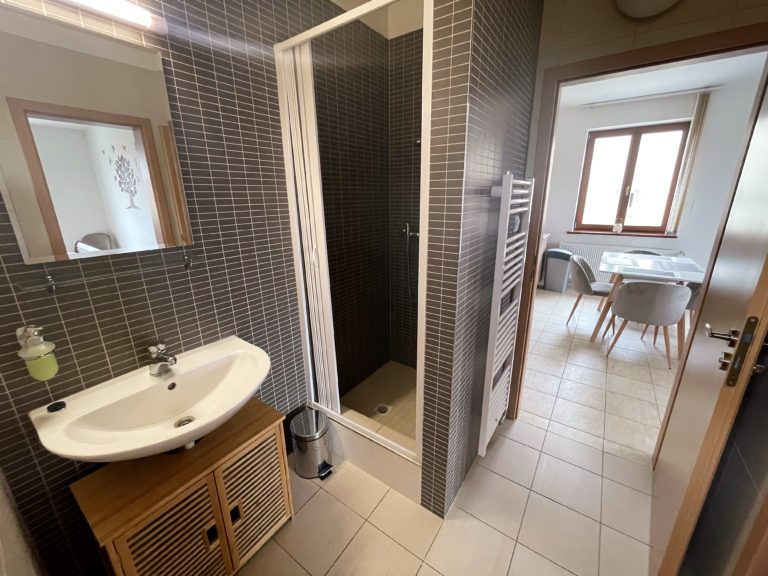 Kúpeľňa s umývadlom pri vstupe do apartmánu – Tatranský dom