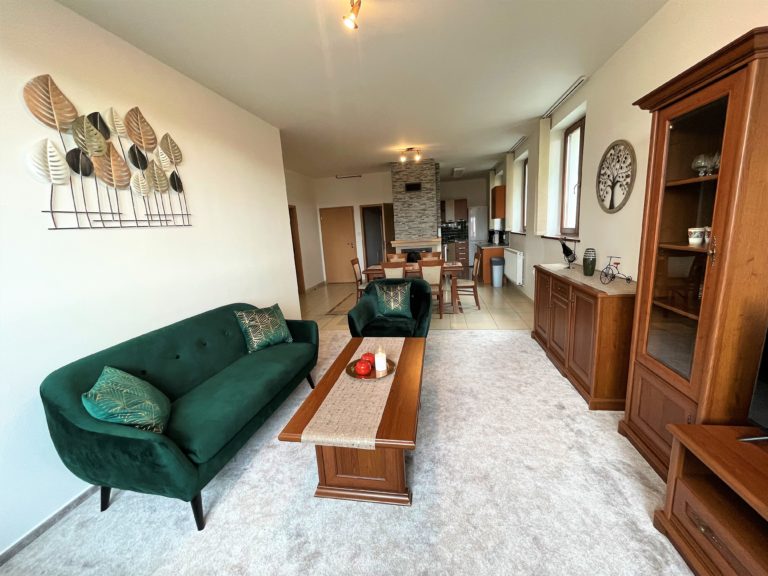 Zelená pohovka v obývacej izbe apartmánu – Tatranský dom